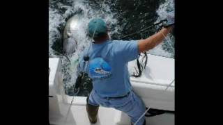 Blue Fin Tuna Fishing in Cape Codmpg [upl. by Igenia]