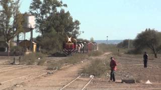 Tren del Belgrano Cargas 7739 llegando a Bermejo San Juan [upl. by Imis]