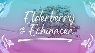 Elderberry amp Echinacea tea  Pukka Herbs [upl. by Lieno]