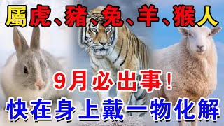 屬虎、豬、兔、羊、猴人，9月必定出事！！50年難遇一次！快在身上戴「一物」化解！ 【佛禪心語 】運勢 風水 佛教 生肖 [upl. by Ahsiekrats]