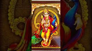 Pachai mayil vahananeMurugan bhajan tamil bhajan tamildevotionalsongs murugan musician music [upl. by Ecirtra]