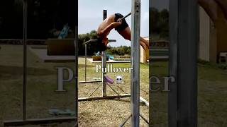 PULL OVER truco sencillo y vistoso pullover crossfit calisthenics toniwildfit homeworkout fun [upl. by Nila]