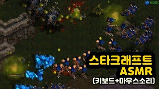 【ASMR】 스타크래프트 밀리 게임  키보드amp마우스 소리  MACHENIKE GK80 금성축 소리  스타크래프트 밀리 플레이영상 [upl. by Asenev]