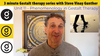 Phenomenology awareness and Gestalt • 3 minute Gestalt series 11 [upl. by Prisca]