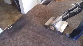 Utah County Carpet cleaning [upl. by Ecnarrot]