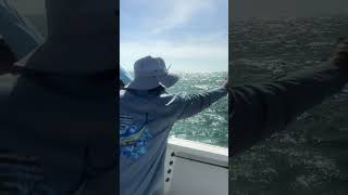 MACKEREL FISHING suscribe [upl. by Celtic]