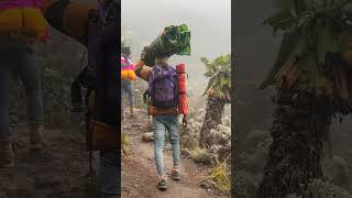 Climbing Kilimanjaro In Under A Minute [upl. by Adnat920]