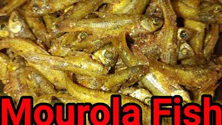 Mourola macher recipeMourola macher jhal in Bengali stylelMourola macher payaji Sdjkitchen [upl. by Warp]