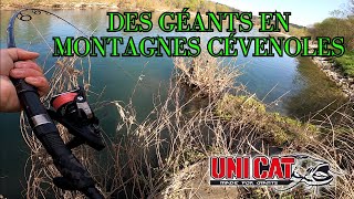 LES GEANTS DES MONTAGNES CEVENOLES [upl. by Rickard]