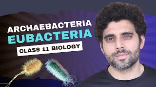 Archaebacteria amp Eubacteria  Class 11 Biology  NEET [upl. by Haraz874]