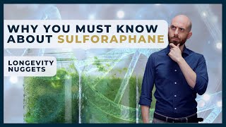 What is Sulforaphane amp Its Anticancer Effects  Longevity Nugget [upl. by Barabbas18]