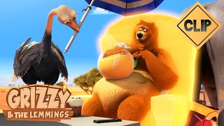 👑 Roi de la savane 🐻🐹 Grizzy amp les Lemmings  Cartoon [upl. by Chud]