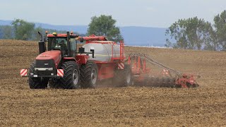 Case IH Steiger 450 HD with Horsch Pronto 8SW at Klostergut Winningen in Germany  Take I [upl. by Dolley]