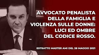 Avvocato penalista della famiglia e violenza sulle donne luci ed ombre del Codice Rosso [upl. by Waine]