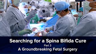 Searching for a Spina Bifida Cure Part 3  A Groundbreaking Fetal Surgery [upl. by Nageam]