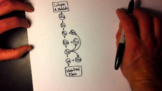 Easy Coagulation Cascade 1 of 2  Simple amp easy to remember [upl. by Aimek]