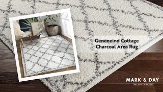 Geneneind Cottage Charcoal Area Rug [upl. by Andrei487]