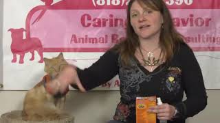 Homemade Cat Litter Deodorizer [upl. by Reynolds]