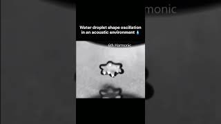 Water Droplet Shape Oscillation In A Acoustic Environment [upl. by Dnesnwot]