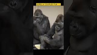 Gorilla Couples Fun 😊🦍😁 monkey gorillalove gorillafun [upl. by Tower954]