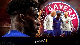 HudsonOdoi schwer verletzt Neue Chance für die Bayern  SPORT1 [upl. by Ellie]