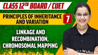 Principles of Inheritance And Variation 07  Linkage and Recombination  Class 12thCUET [upl. by Ahsinak]