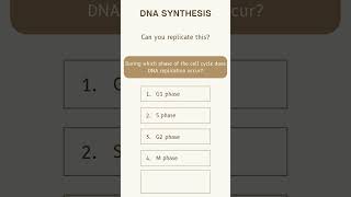 Biology MCQ During which phase of the cell cycle does DNA replication occur Diarasacademy [upl. by Odnumyer]