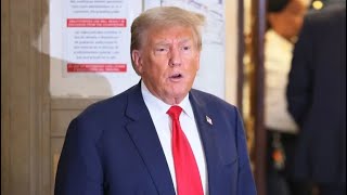 Trump goes FULL DESPERATION in panicked move in DC court [upl. by Lounge819]