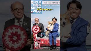 Dalbong from the Philippines Wins Best of Breed Title  2023 👏 dogs [upl. by Lemyt]