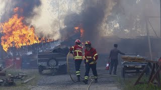 Waldbrände in Portugal 5000 Feuerwehrleute im Einsatz [upl. by Eittap347]