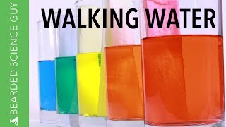 Walking Water Experiment Chemistry [upl. by Tadd]