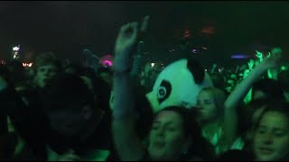 A wild panda in the crowd at We Love Green 2014 [upl. by Atcliffe]