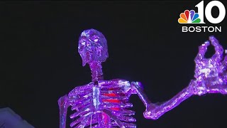 Giant pink skeleton dazzles Needham neighborhood [upl. by Toombs]