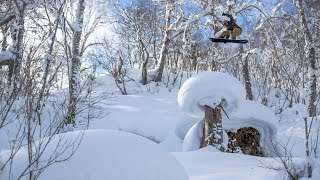 GAMBARO FULL MOVIE  Volcom Snowboarding  Veeco Productions  2021 [upl. by Asirem]