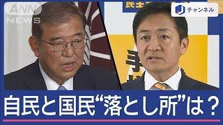 「手取り増やす」政策の実現は？自民と国民「部分連合」の“落とし所”は【スーパーJチャンネル】2024年10月30日 [upl. by Oina]