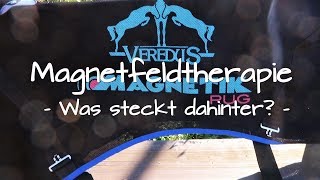 Magnetfeldtherapie  Was steckt dahinter [upl. by Yahs]