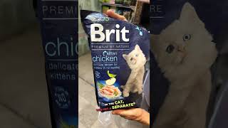 Brit Cat Food Review  GrainFree Medicated Cat Food from the Czech Republic [upl. by Uzzi947]