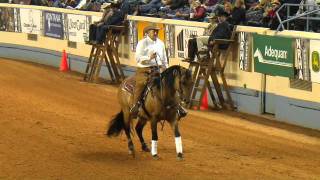 National Reining Horse Association Hosts Fundraising Event for Memorial [upl. by Awhsoj]