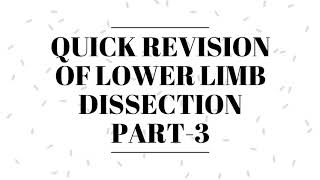 QUICK REVISION OF LOWER LIMB DISSECTION FOR ANATOMY VIVA  PRACTICAL PART3  BY DR MITESH DAVE [upl. by Naoj]