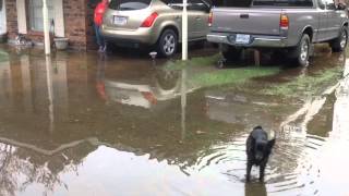 Pascagoula River Floods Escatawpa [upl. by Saloma987]