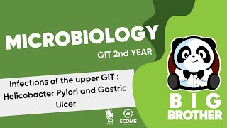 Infections of the Upper GIT Helicobacter Pylori and Gastric Ulcer [upl. by Retsae]