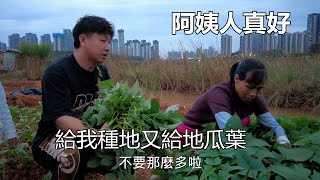 種花生的阿姨人真好，給我們地種菜又給吃花生，最後還摘地瓜葉給我們帶回去吃【我是杰少】 [upl. by Assirt987]