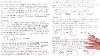 Conjugation Transformation and Transduction [upl. by Cerys]