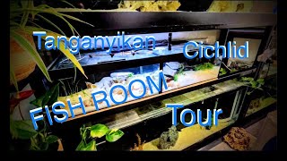 FISH ROOM TOUR  All Tanganyikan Cichlid Tanks [upl. by Rugg283]