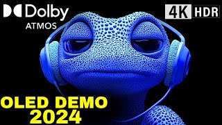 Experience True Cinema Quality OLED DEMO with 4K HDR 120fps Dolby Vision [upl. by Ylla308]