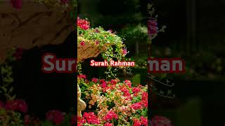 surah rahman quran recitation quran tarjuma islam islamic shorts videos Islamic status [upl. by Merth]