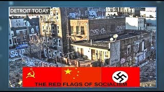 David Horowitz  Radical Leftists Have Destroyed Our Cities [upl. by Jo Ann]