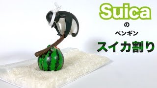 【樹脂粘土】スイカ割りするSuicaのペンギン作ってみた [upl. by Gladis]