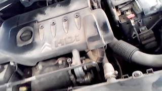 CITROEN XSARA 14HDI HOW TO CHANGE OIL AND FILTERS AND RESET SERVICE [upl. by Stochmal]