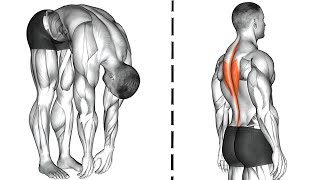 10 Posture Correction Exercises [upl. by Casimir]